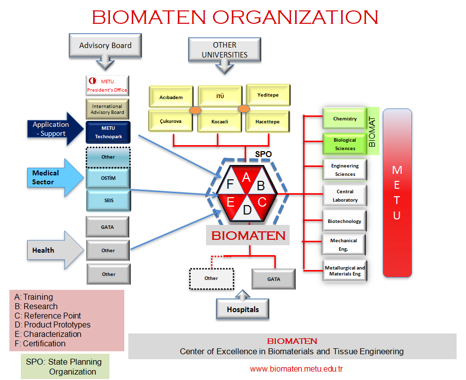 BIOMATEN_Organization_Establishment