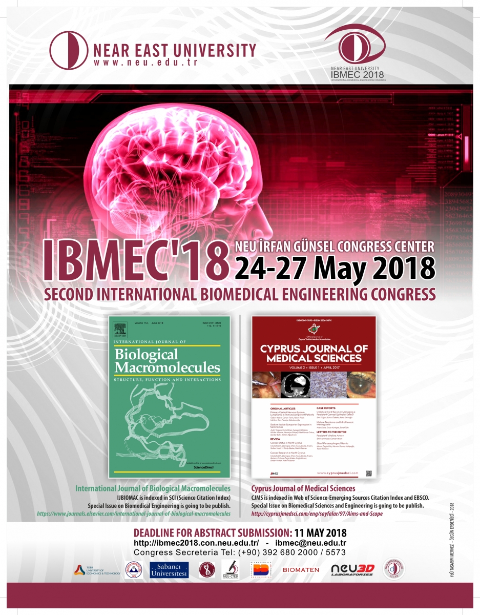 IBMEC_2018_Special_Issue